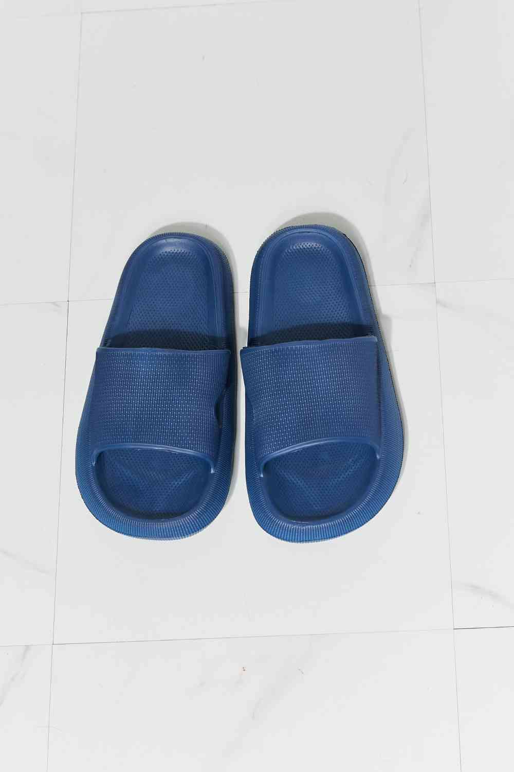 Navy Slides